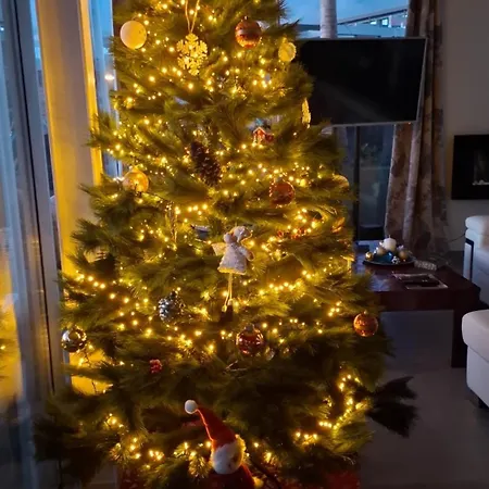 Apartament Sabina In Callao Salvaje Costa Adeje (Tenerife)